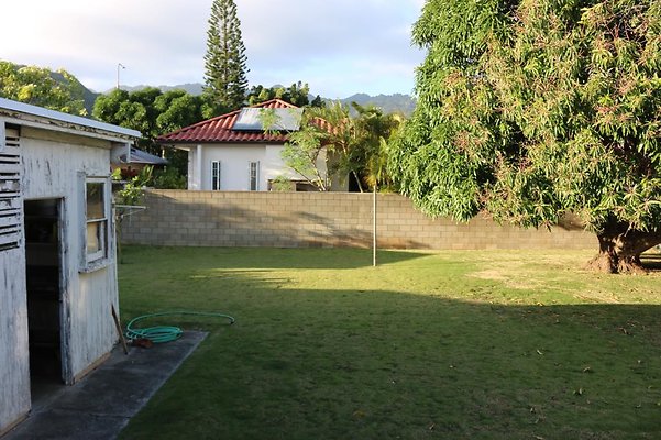 th IMG 3950 th IMG 3950