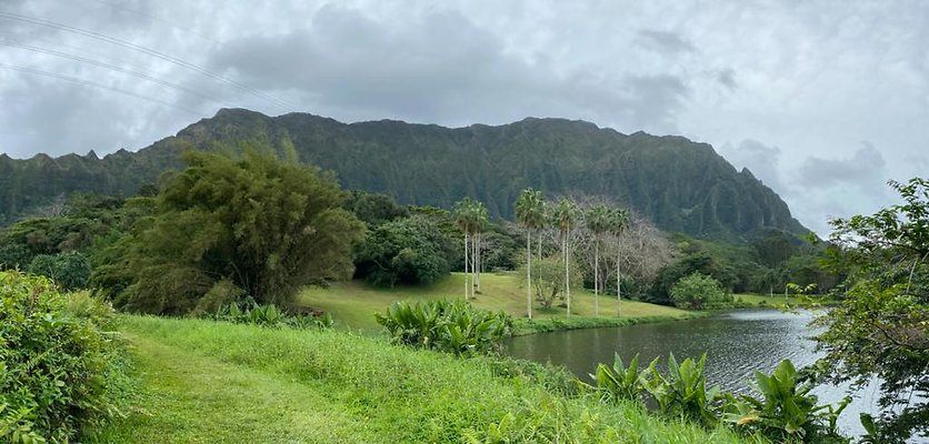 Hoomaluhia Botanical Gardens (5.20.24, 7.13 AM)