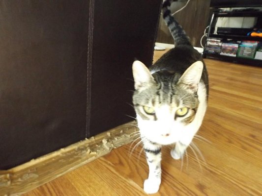 th FelitasApt 2c th FelitasApt 2c