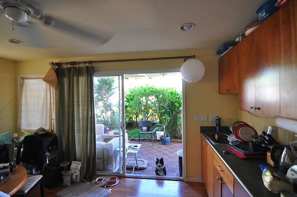 th DSC 0434 th DSC 0434