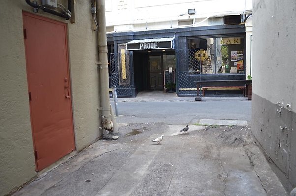 th DSC 0785 th DSC 0785