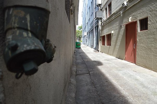 th DSC 0784 th DSC 0784