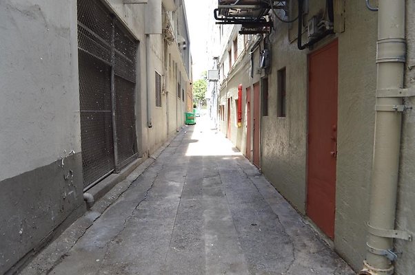 th DSC 0775 th DSC 0775