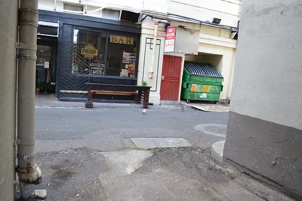 th DSC 0786 th DSC 0786