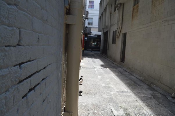 th DSC 0781 th DSC 0781