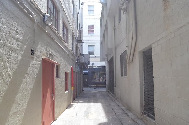 th DSC 0782 th DSC 0782