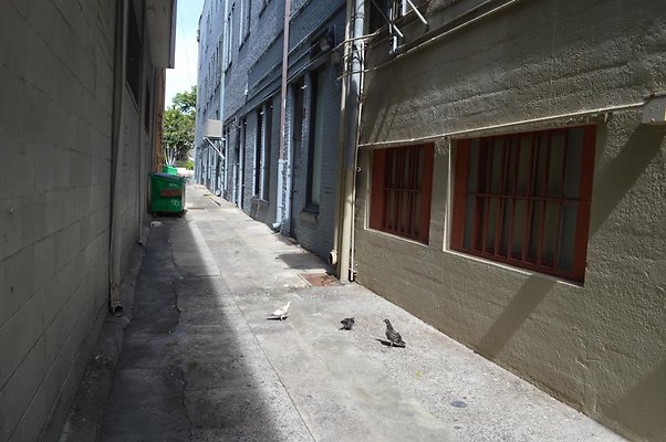 th DSC 0777 th DSC 0777