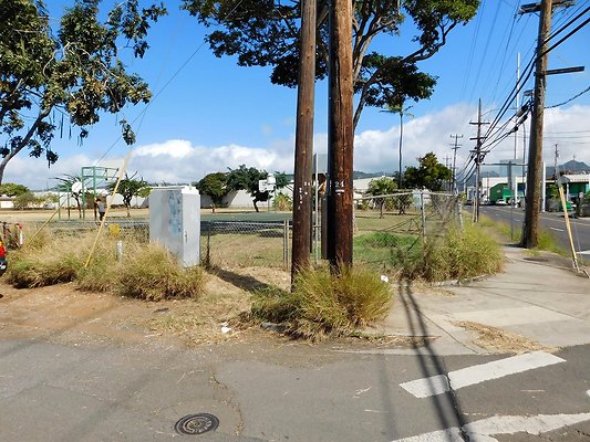 th DSCN4774 th DSCN4774