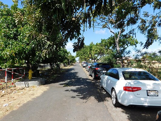 th DSCN4776 th DSCN4776