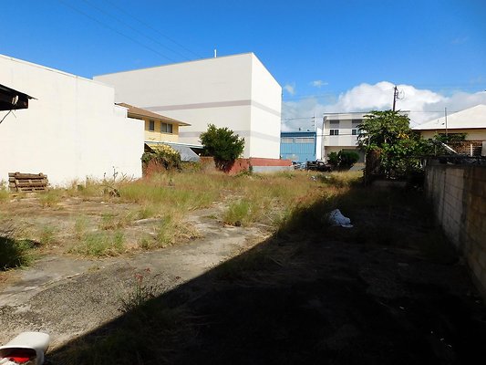 th DSCN4782 th DSCN4782