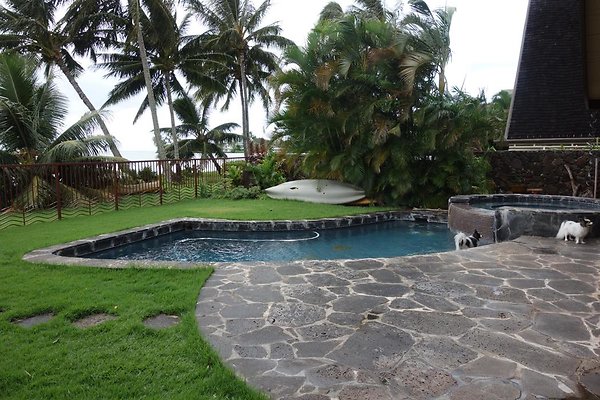 th DSC07193 th DSC07193