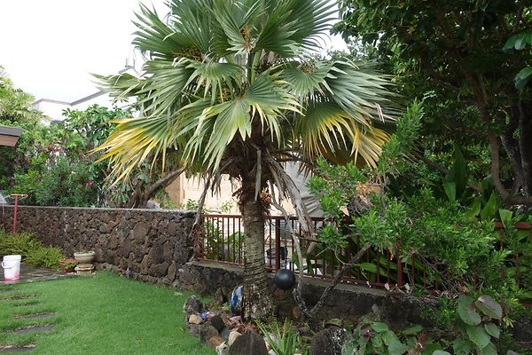 th DSC07197 th DSC07197