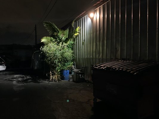 th IMG 5041 (1) th IMG 5041 (1)