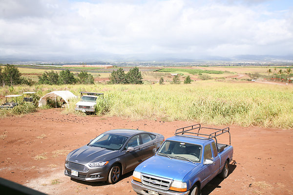 KuniaLoaRidge Greenhouse 5