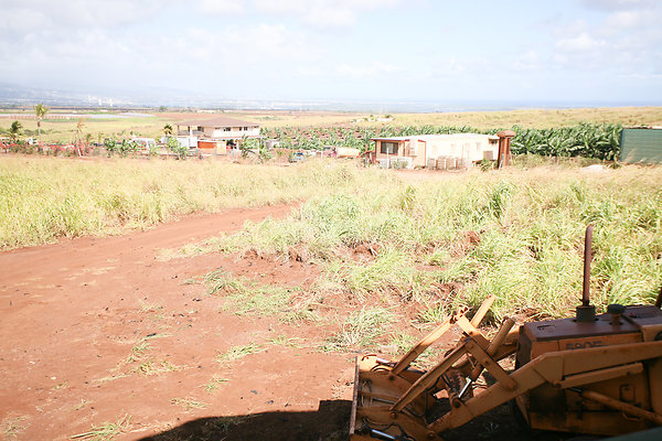 KuniaLoaRidge Greenhouse 6