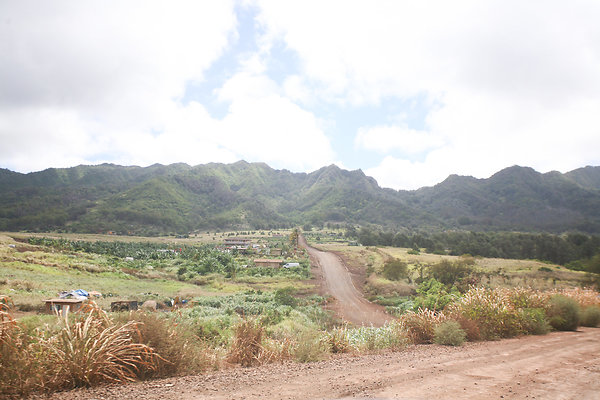 KuniaLoaRidge Greenhouse 2