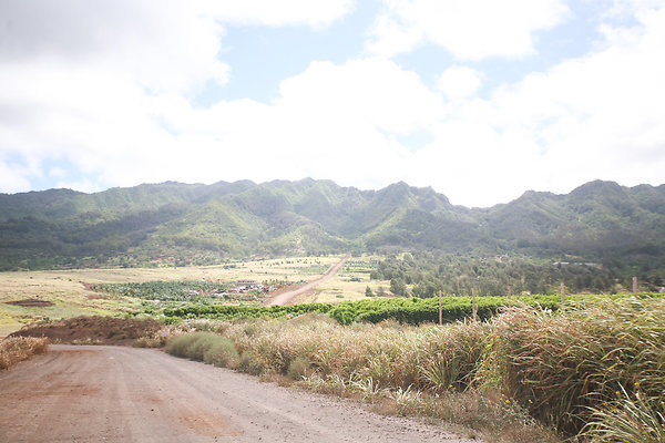 KuniaLoaRidge Greenhouse 1