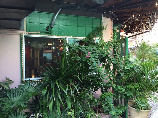 HI50 S5 Alley 2014-11-18 17.02.20 HI50 S5 Alley 2014-11-18 17.02.20