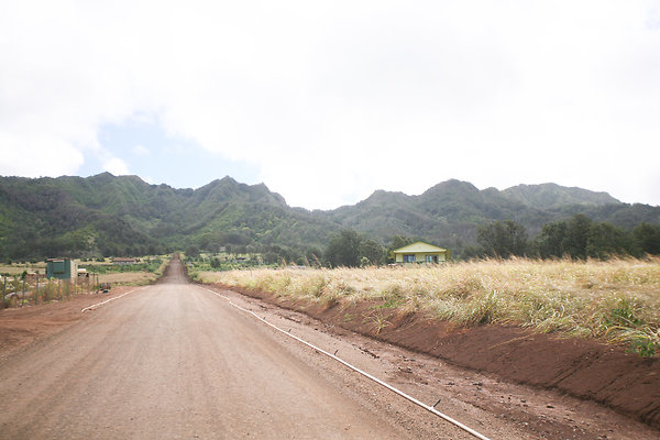 KuniaLoaRidge Greenhouse 3