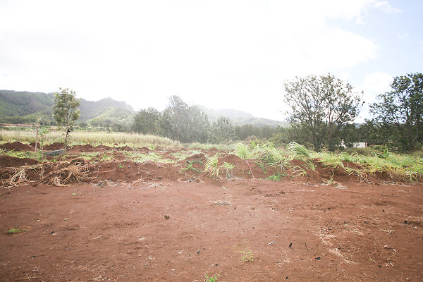 KuniaLoaRidge Greenhouse 16