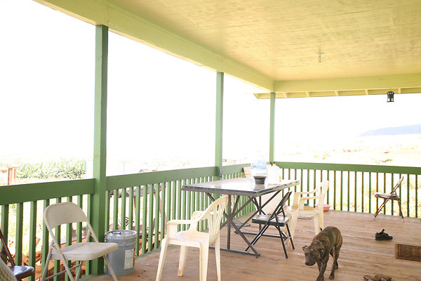 KuniaLoaRidge Greenhouse 27