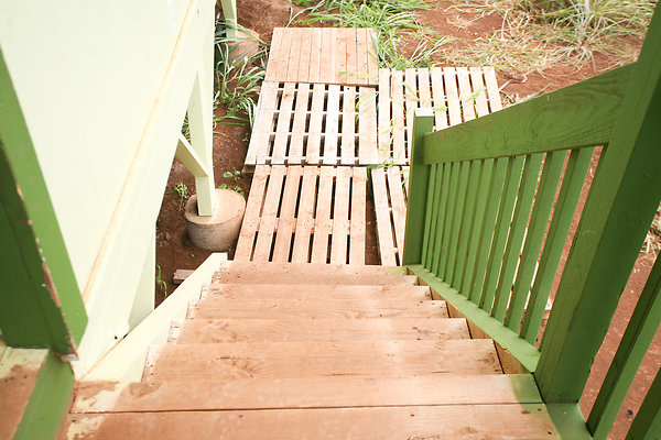 KuniaLoaRidge Greenhouse 21