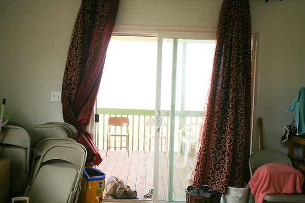 KuniaLoaRidge Greenhouse 25