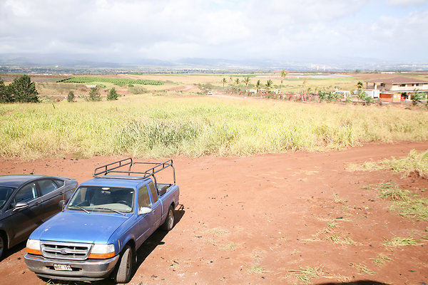 KuniaLoaRidge Greenhouse 4
