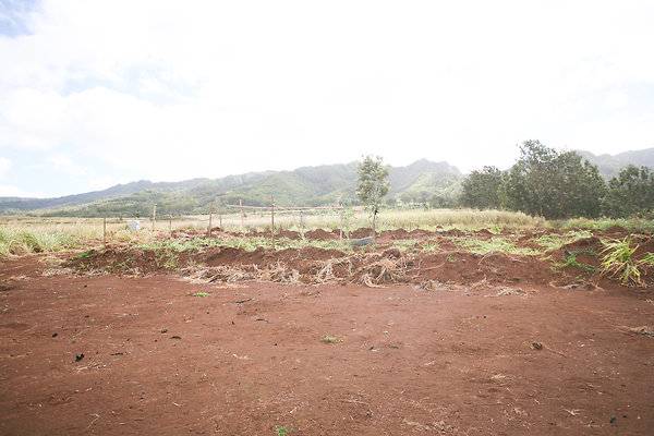 KuniaLoaRidge Greenhouse 18