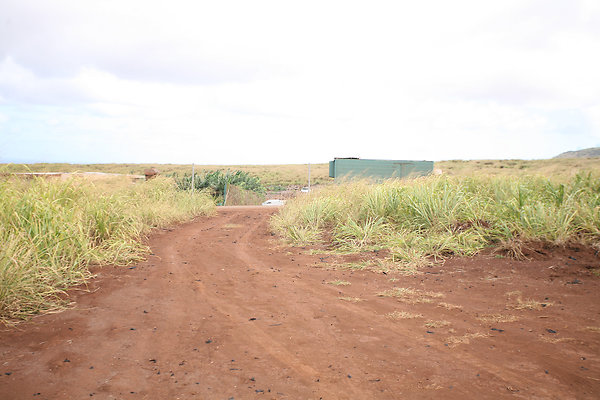 KuniaLoaRidge Greenhouse 11