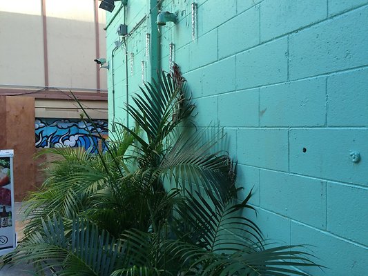 HI50 S5 Alley 2014-11-18 17.02.25 HI50 S5 Alley 2014-11-18 17.02.25