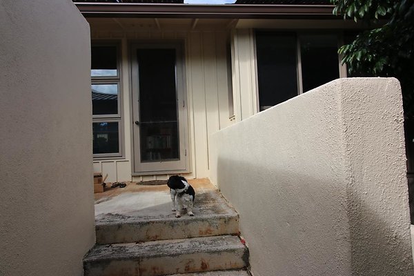 th IMG 0149 th IMG 0149