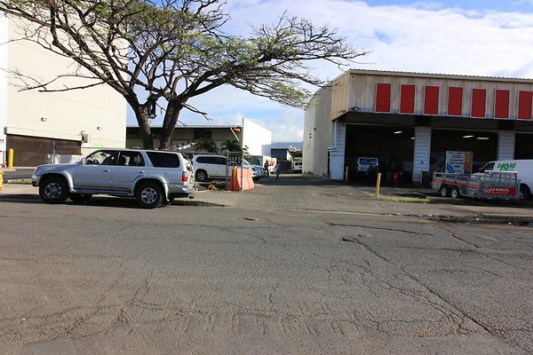 th IMG 1388 th IMG 1388