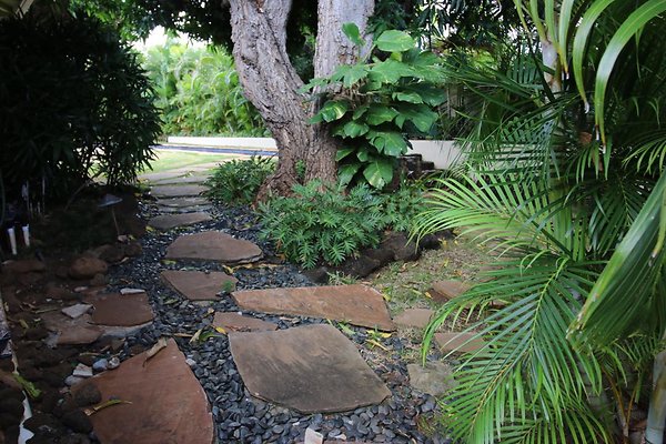 th IMG 0208 th IMG 0208