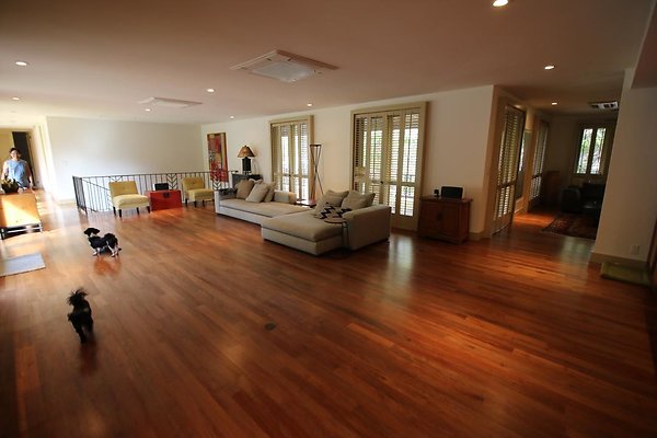 th IMG 0177 th IMG 0177