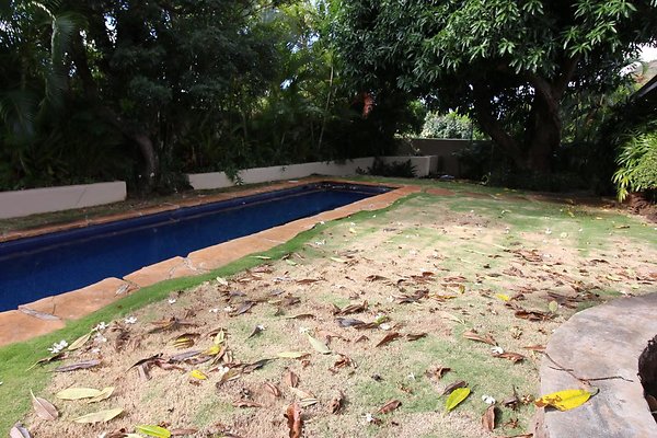 th IMG 0159 th IMG 0159