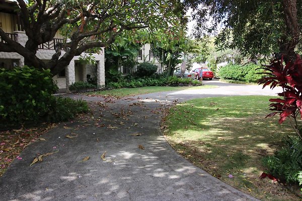 th IMG 0135 th IMG 0135