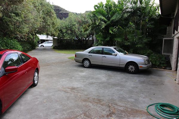 th IMG 0209 th IMG 0209