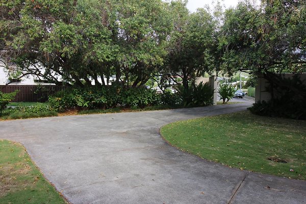 th IMG 0137 th IMG 0137