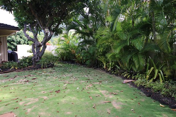 th IMG 0156 th IMG 0156