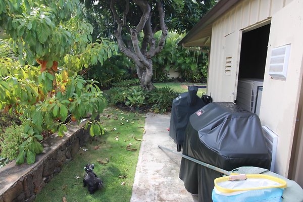 th IMG 0151 th IMG 0151