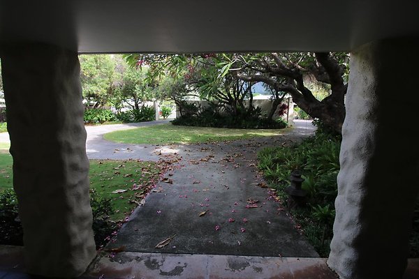 th IMG 0141 th IMG 0141