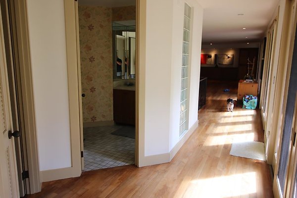 th IMG 0184 th IMG 0184