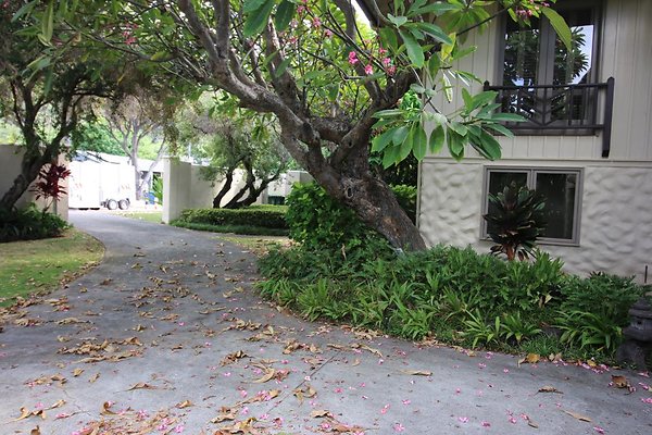 th IMG 0139 th IMG 0139