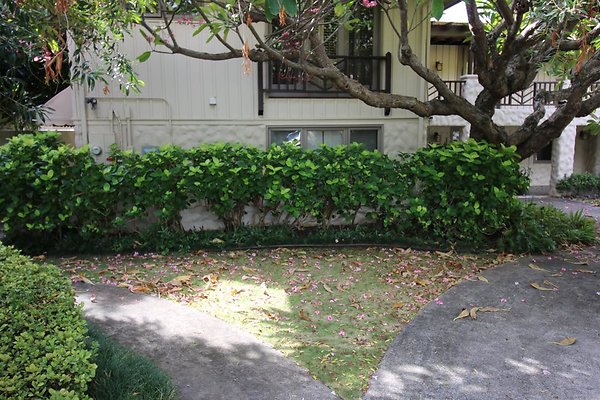 th IMG 0134 th IMG 0134