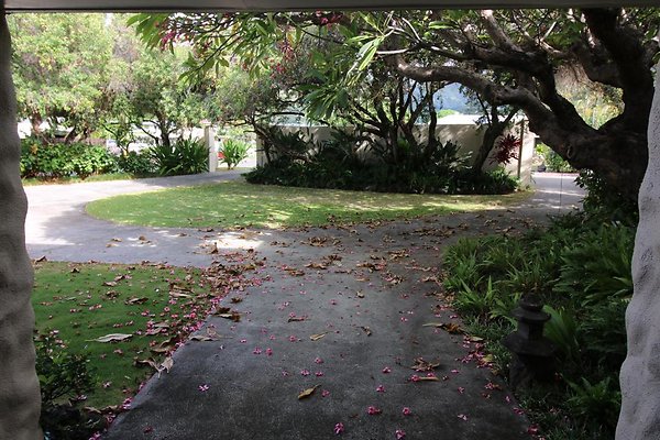 th IMG 0143 th IMG 0143