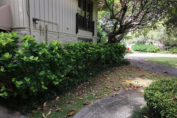 th IMG 0146 th IMG 0146