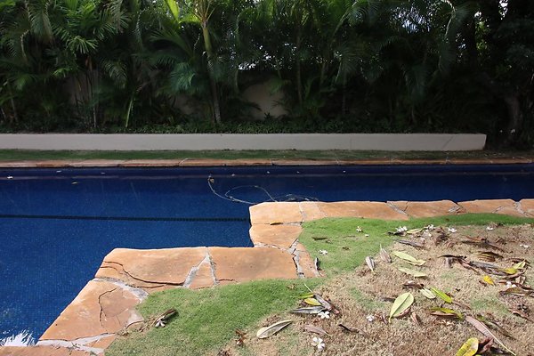 th IMG 0158 th IMG 0158