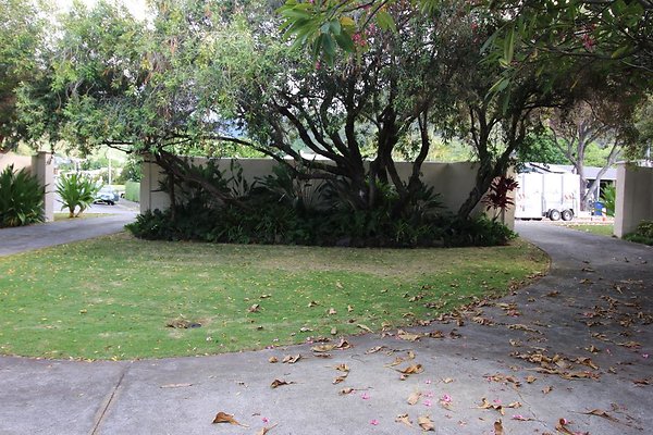 th IMG 0138 th IMG 0138