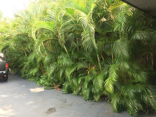 HI50 S5 5797KalanianaoleHwyKI2 2014-10-31 14.09.23